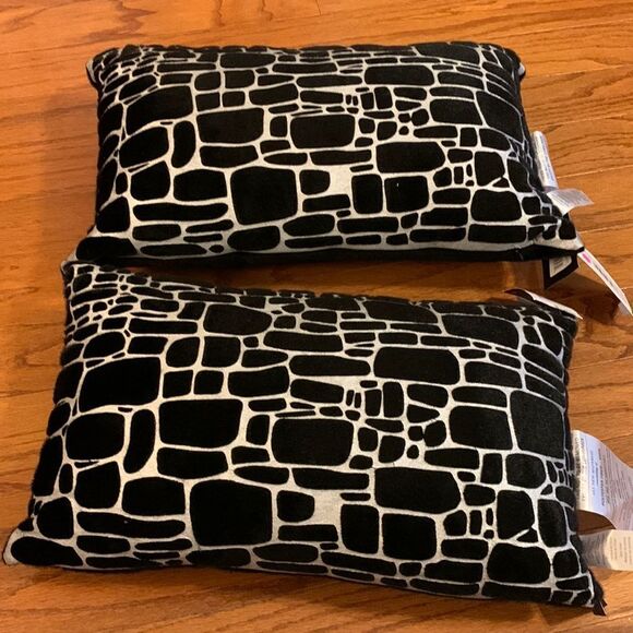 Edie@Home 12X20 pair of lumbar pillows.  Precious metals collection price FIRM - Picture 1 of 7
